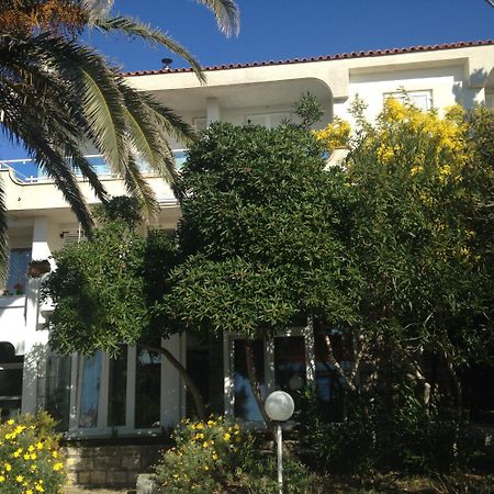 Guesthouse Punta Mira - Beachfront ノヴァリャ エクステリア 写真