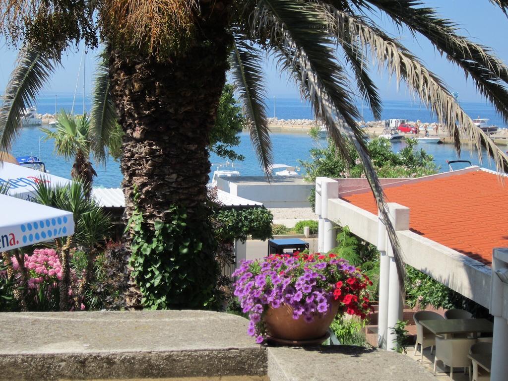 Guesthouse Punta Mira - Beachfront ノヴァリャ エクステリア 写真
